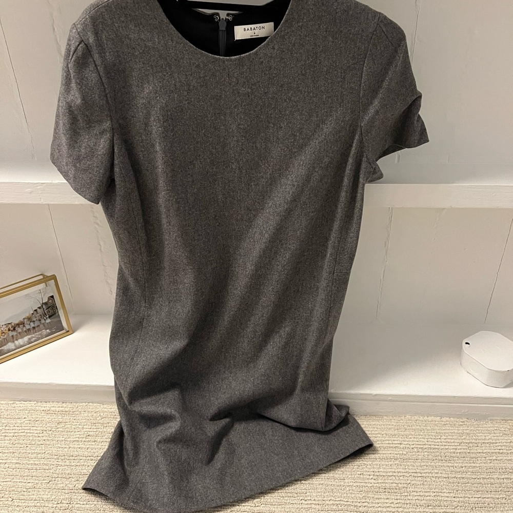 Aritzia Dress